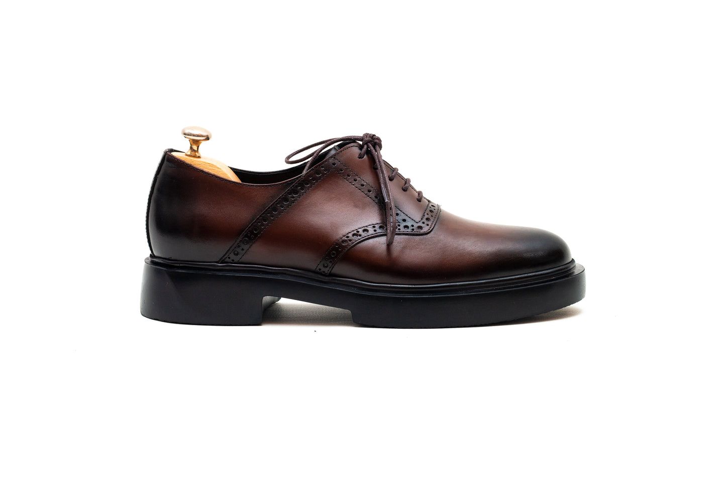 Capri Perforated Brown Lace Up Shoe